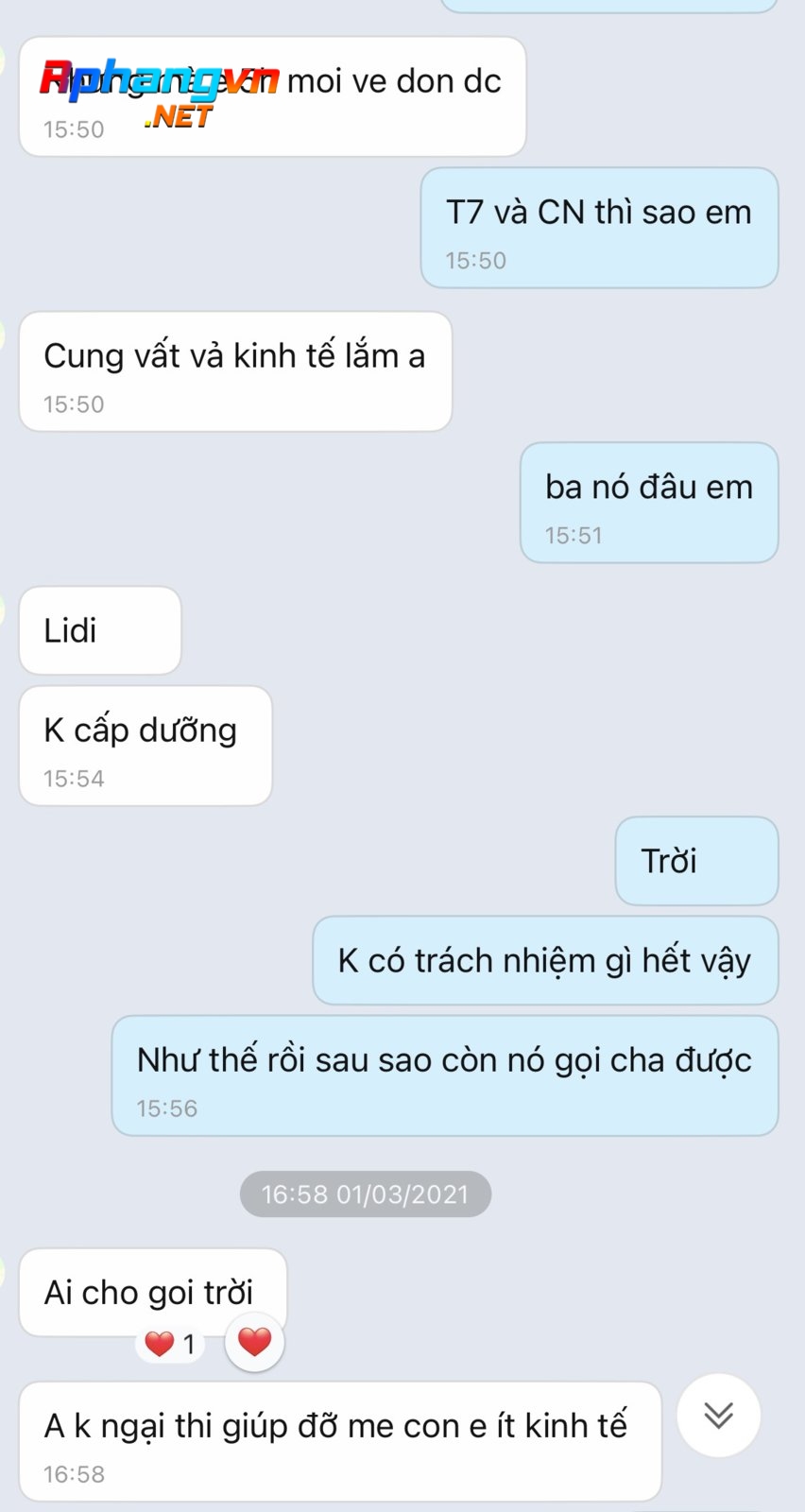 085bd17ad0c4239a7ad5.jpg