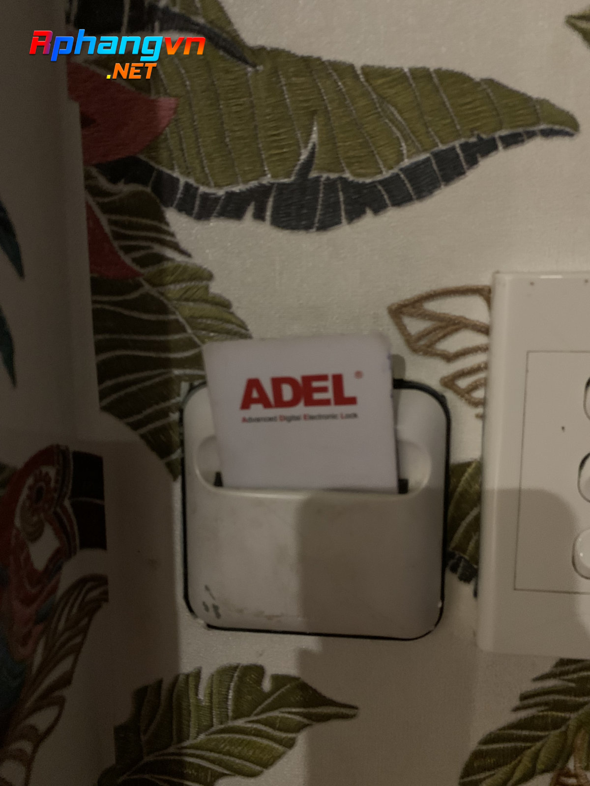 C81804DC-FC4F-4D0B-9EEF-079AD6381475.jpeg