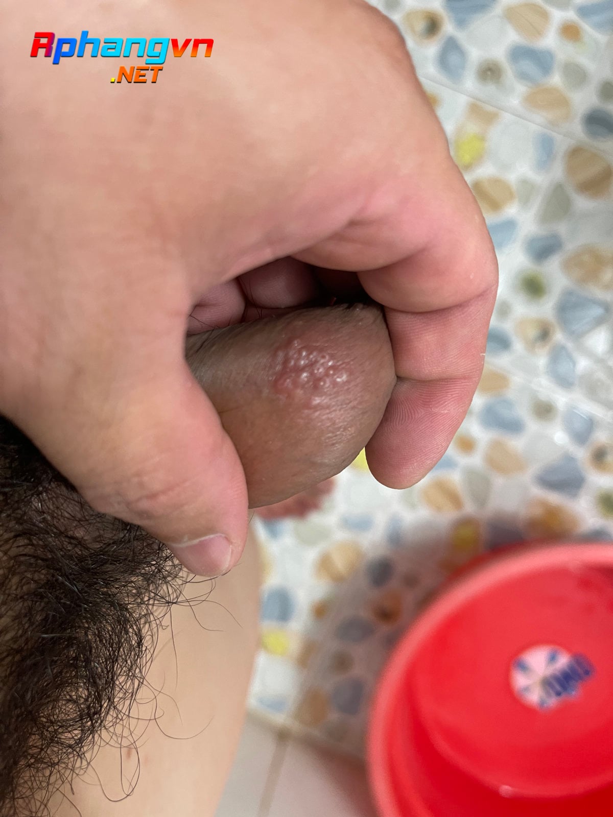 8BBD1B1B-50AA-47D9-8E14-9FEB4BDE83E3.jpeg