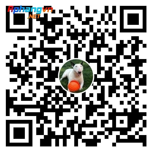 230556290_378522630647133_313994361186959418_n.jpg