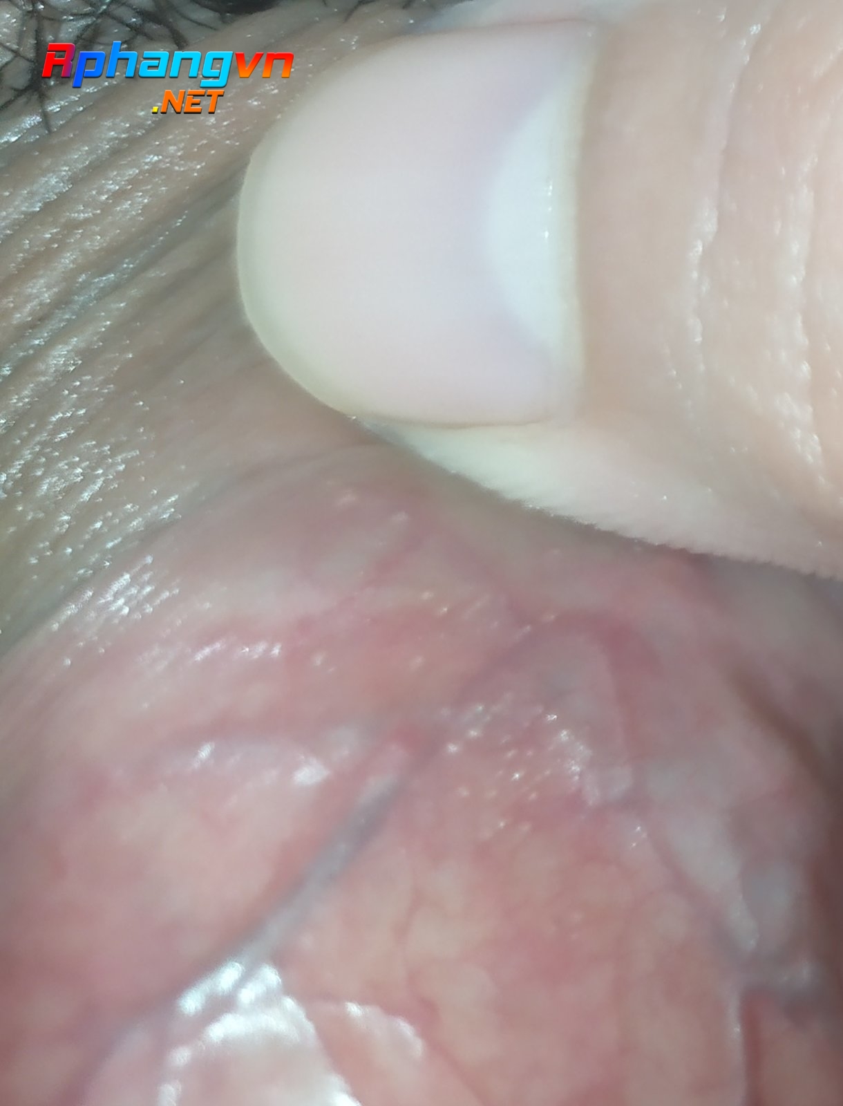 IMG_20210819_172139.jpg