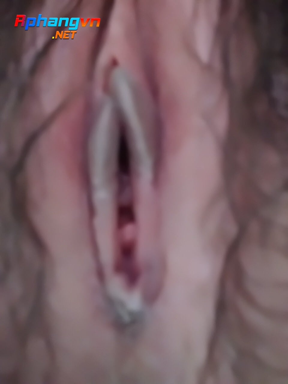 1734559E-7BC0-4EC3-ABF6-D3D54C59F89B.jpeg