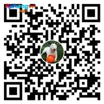 230556290_378522630647133_313994361186959418_n.jpg