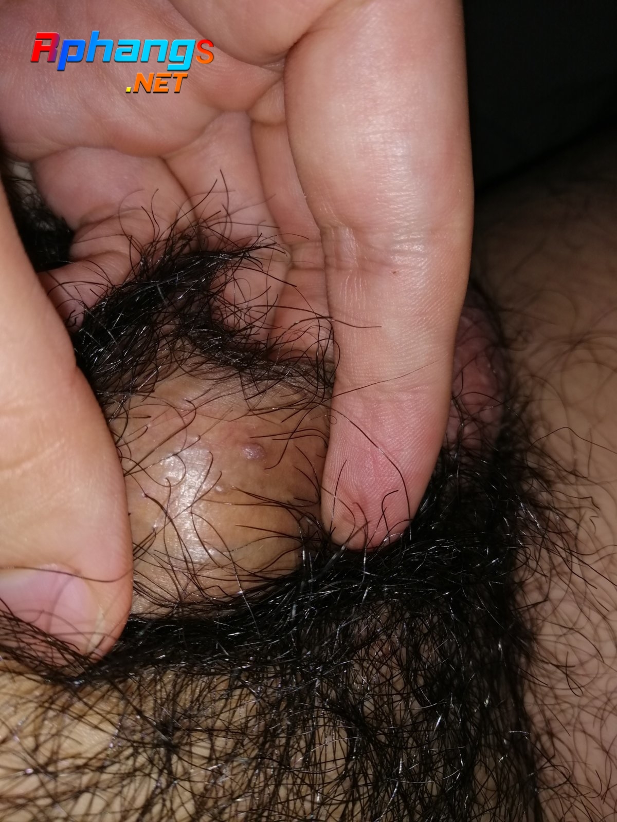 z2849958871149_e8d654c85d529b2e5858a35c173ef32b.jpg