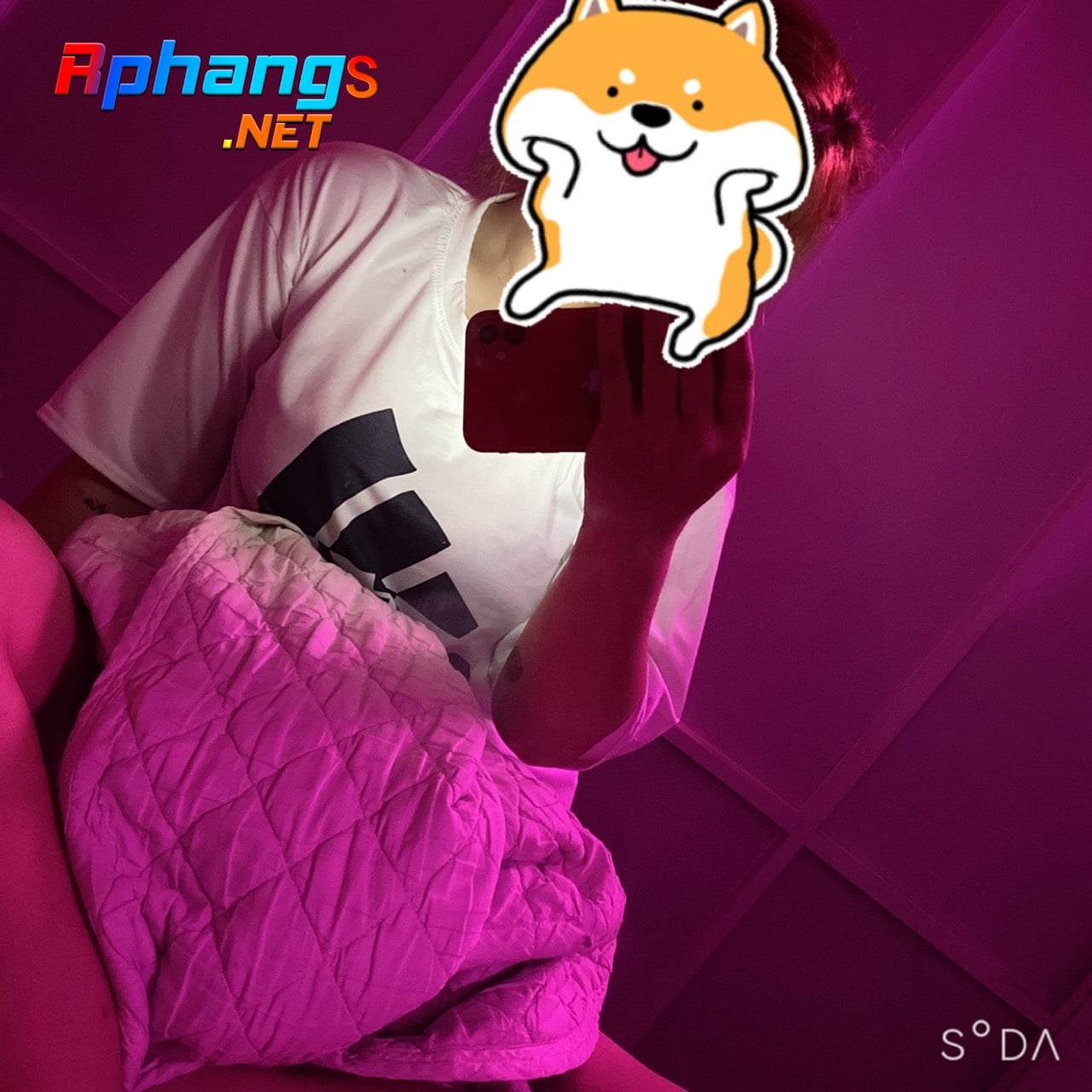 501e51c04db286ecdfa3.jpg