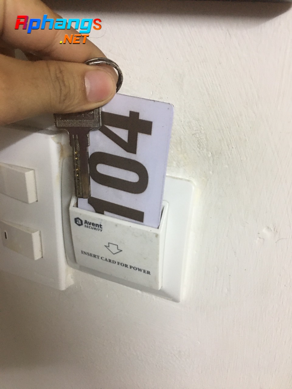 IMG_1637734594071_1637735027521.jpg