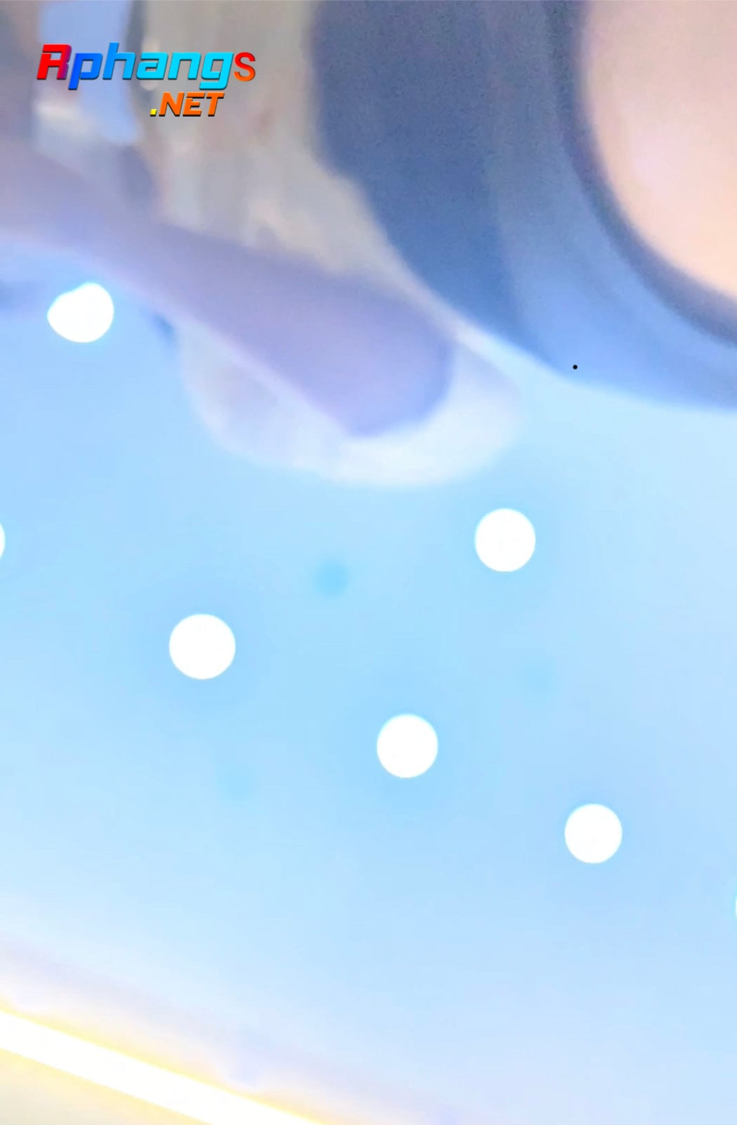 0B8627DC-9D22-4859-A082-7AB911EAA21F.jpeg