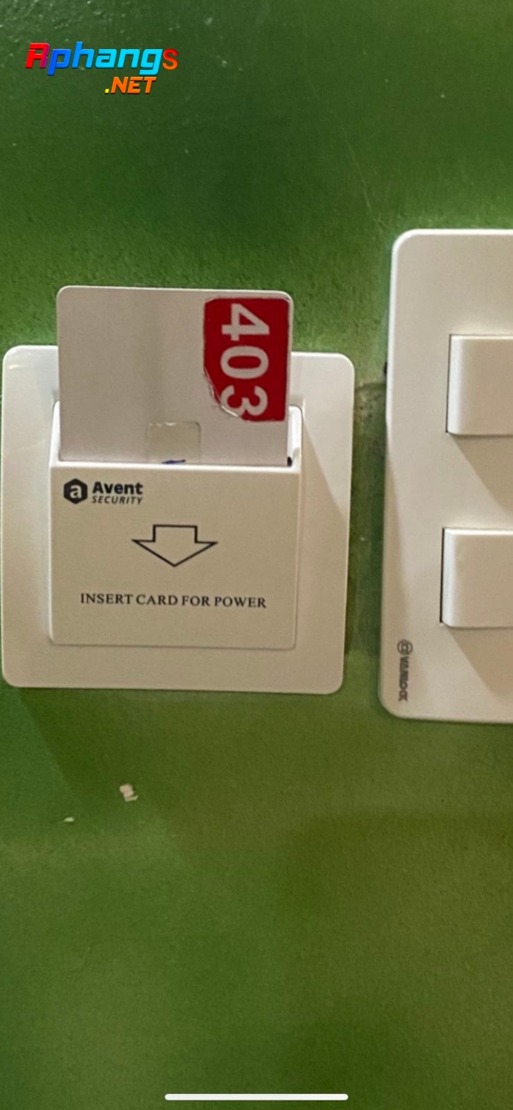 z3137944876828_79a97efb4ef177c4829ee286ea064226.jpg