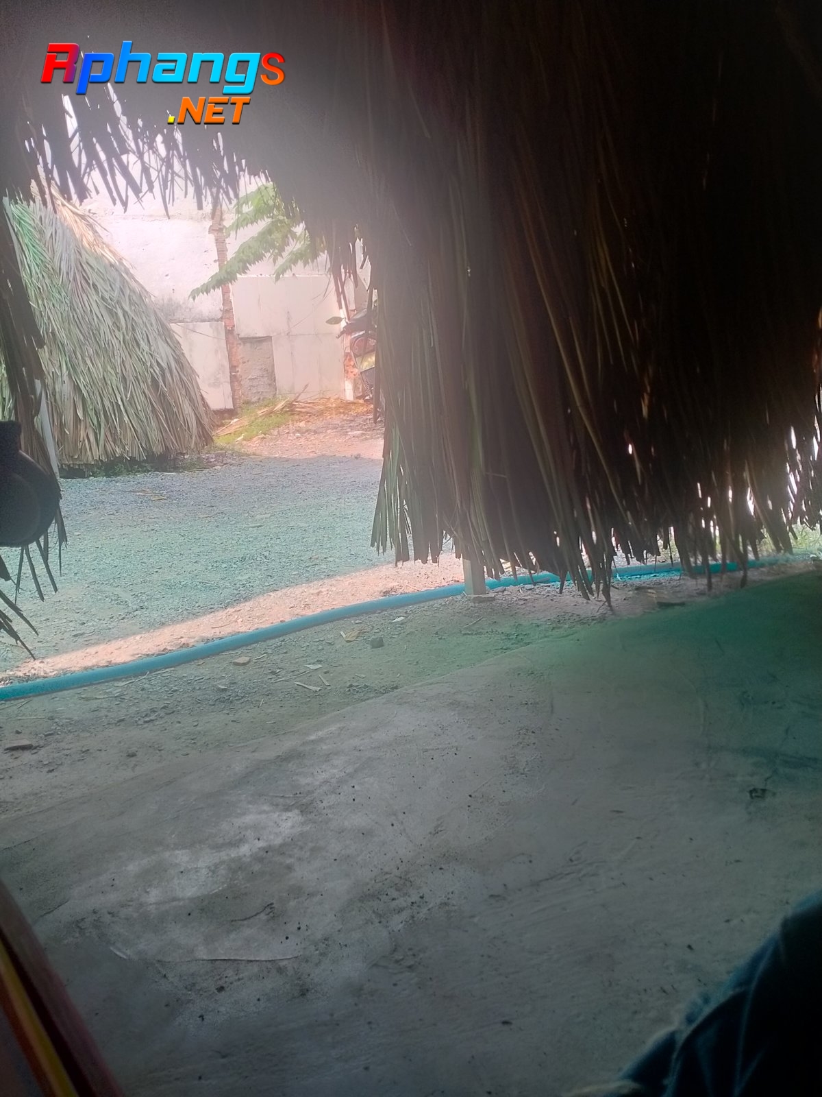 IMG20220309140526.jpg