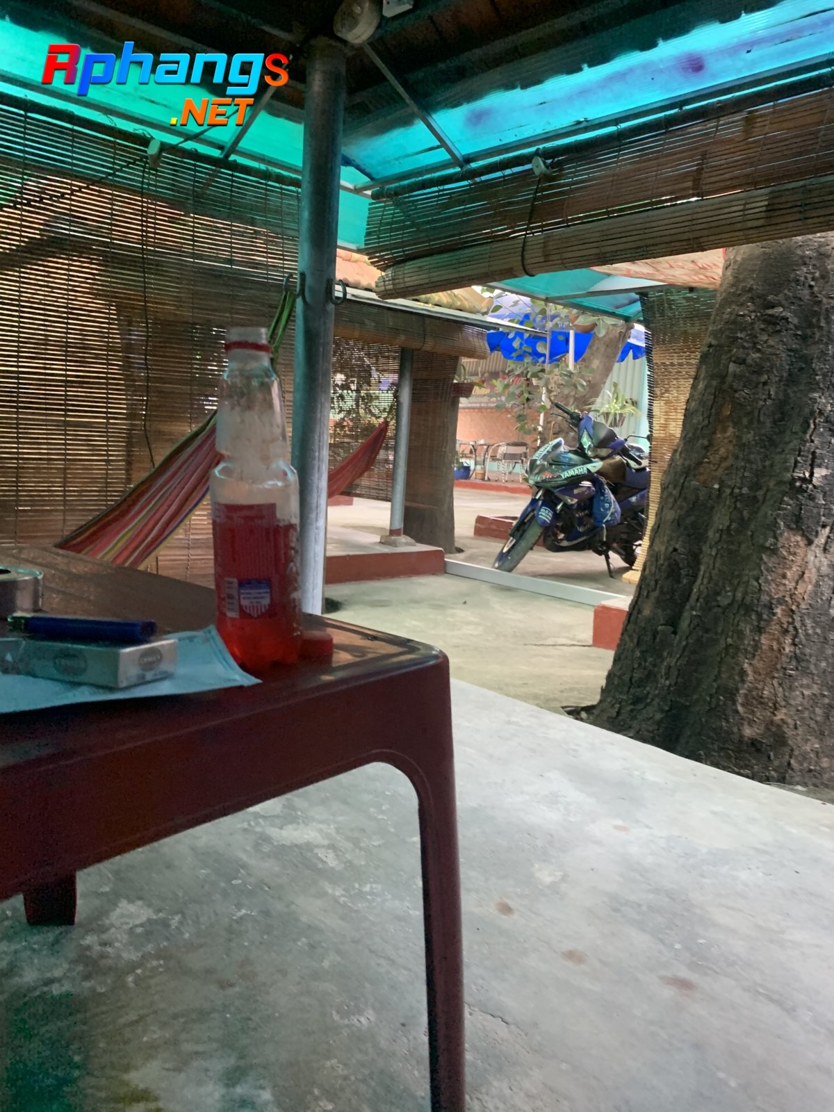 26DB1A49-2F1C-4F66-8093-288691D55547.jpeg