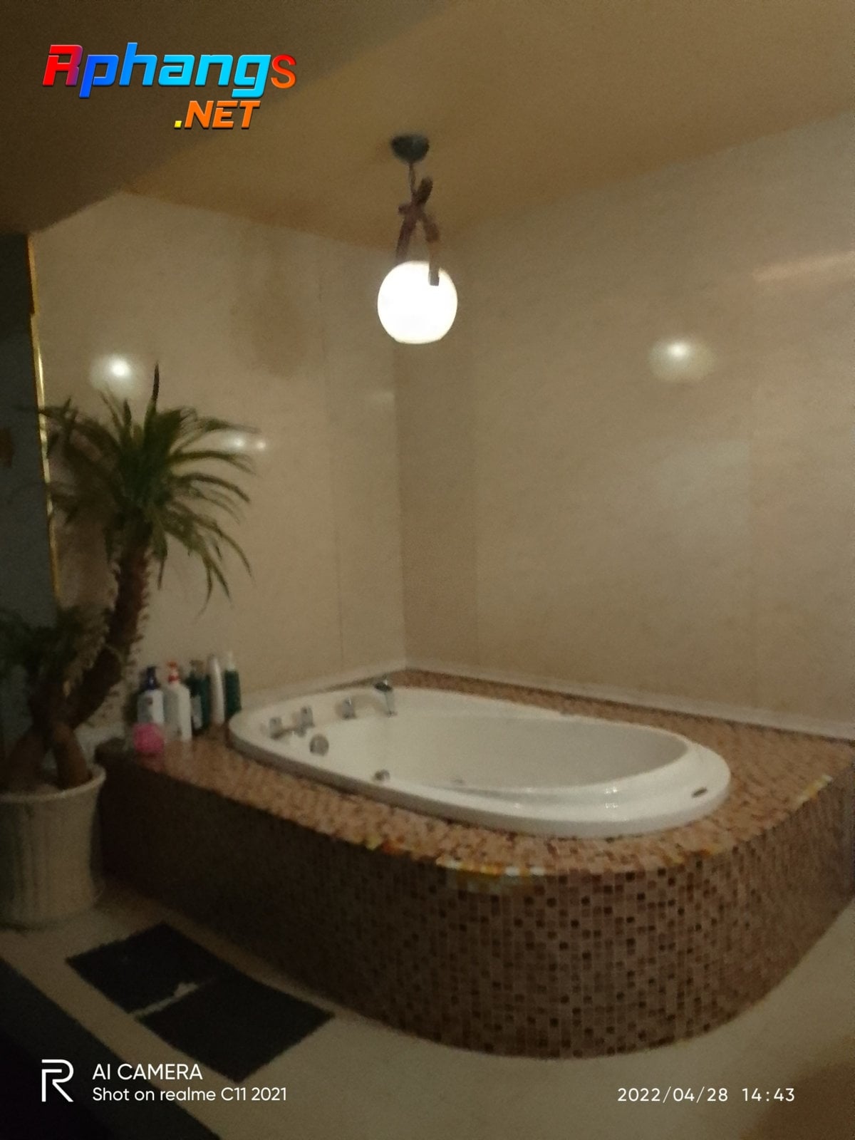 IMG_20220504_164549.jpg