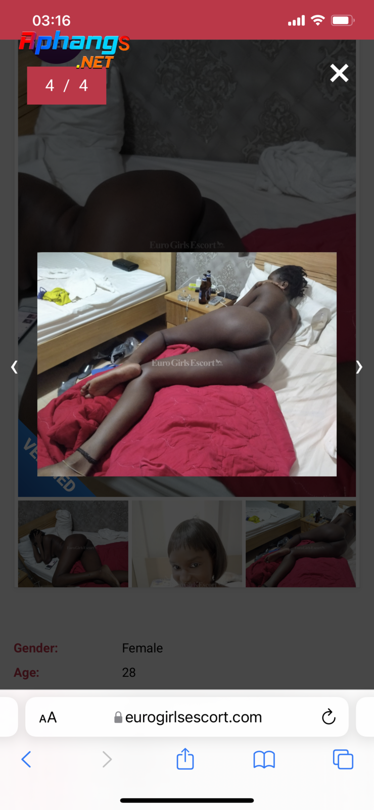 407073C4-DAF0-460D-AFB5-B5F9D27038B1.png