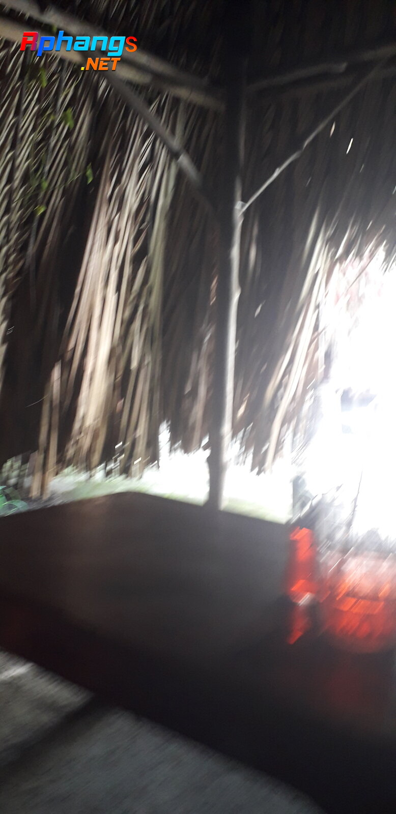 20220625_150111.jpg