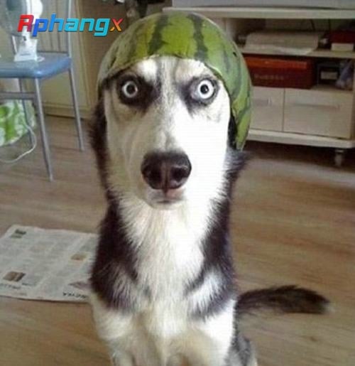 hinh-anh-hai-huoc-buon-cuoi.jpg