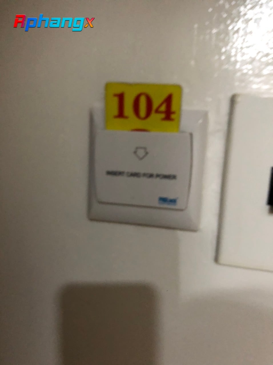 IMG_20220730_194929.jpg