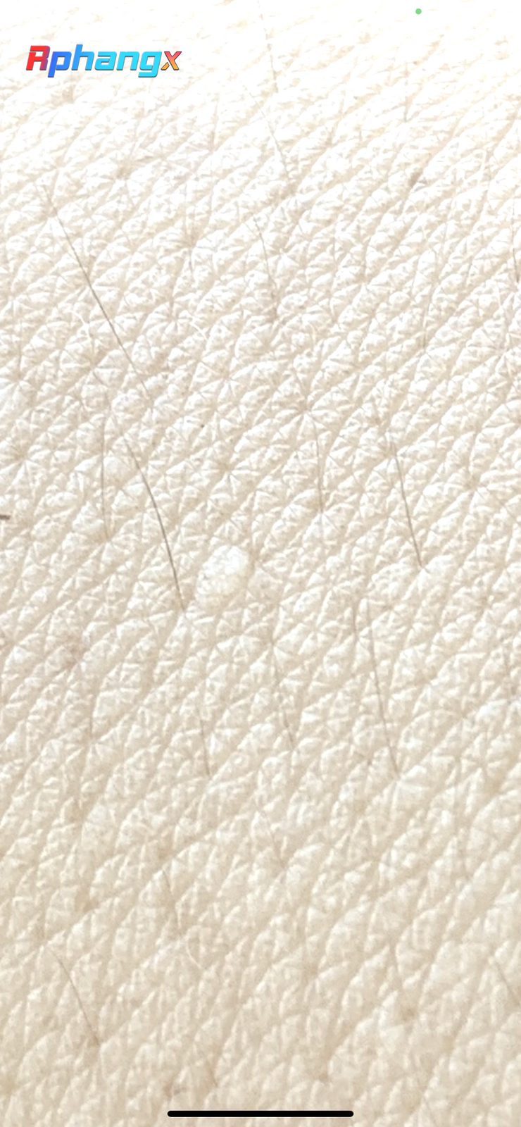 B4940196-77A3-4852-A4F3-0688E386F5E6.png