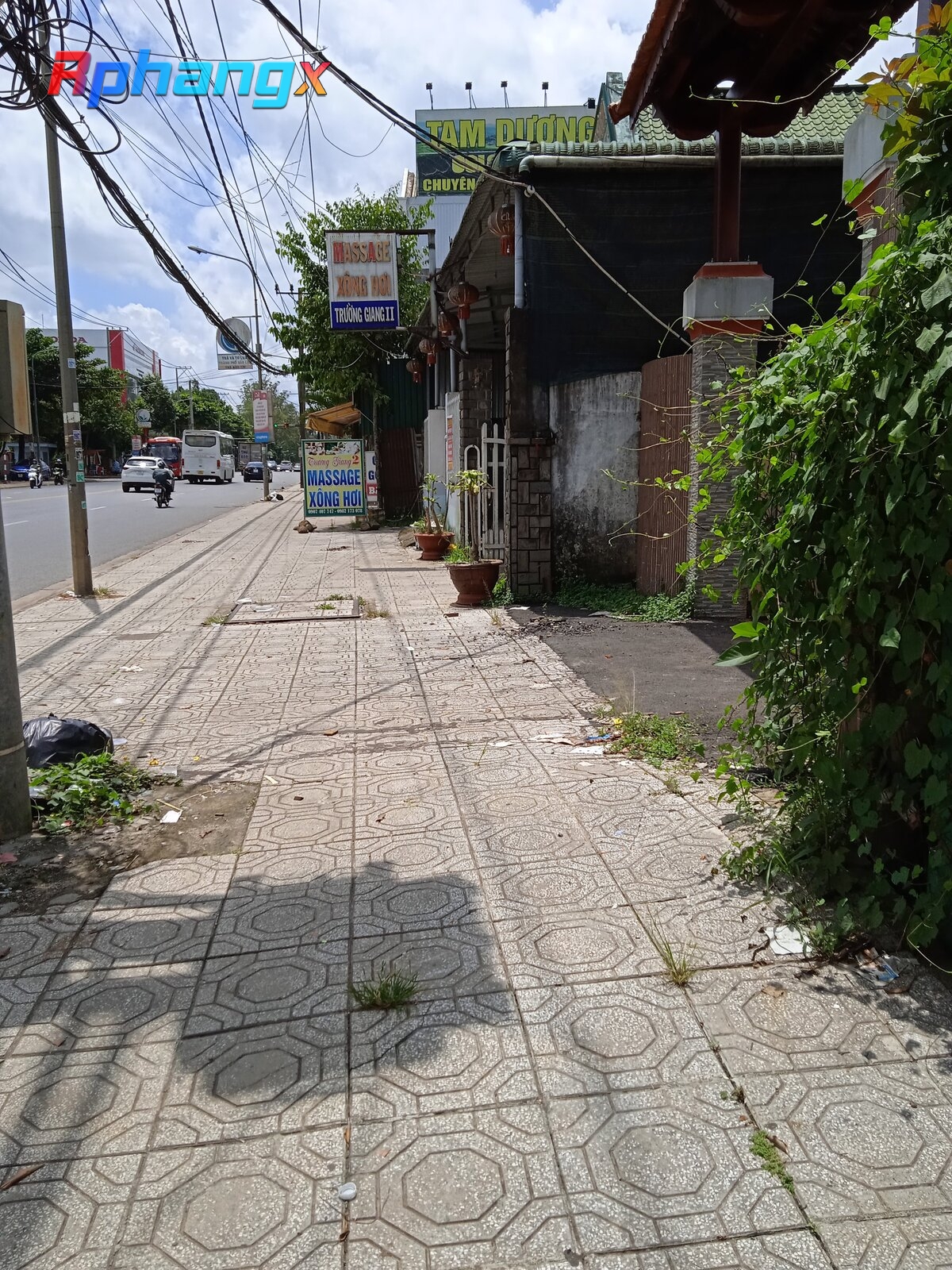 IMG_20220620_111710_1.jpg