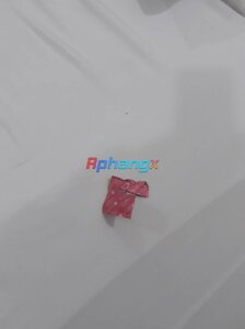 306359514_770034574207022_1963937419271590816_n.jpg