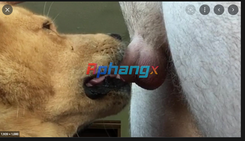 1665820912949.png