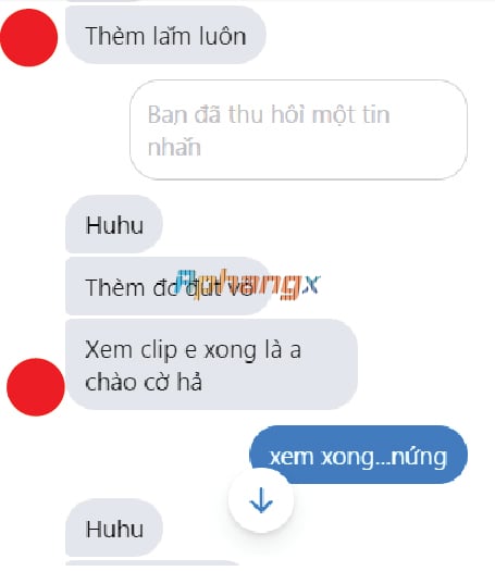 16.jpg