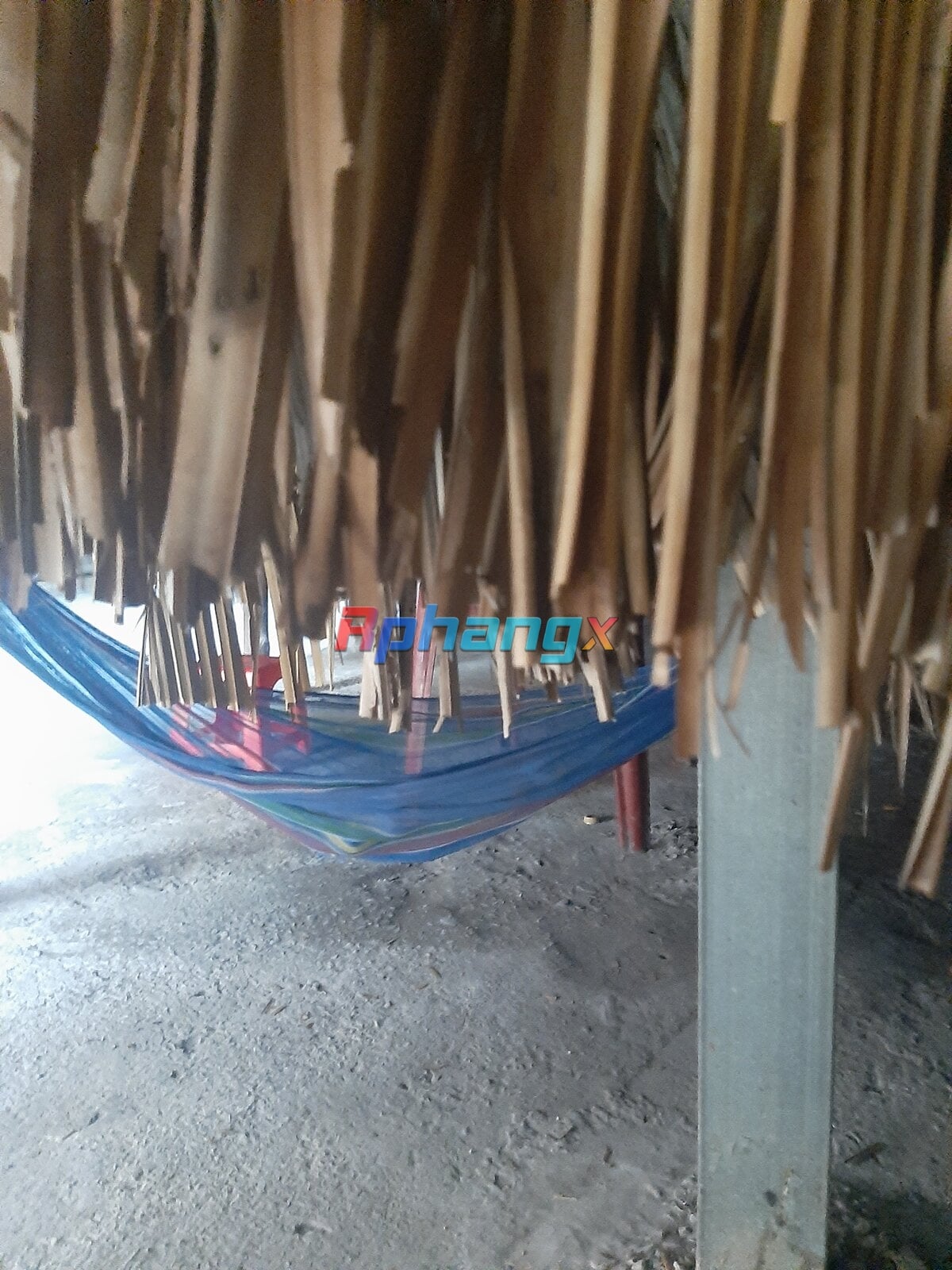 20221206_124906.jpg