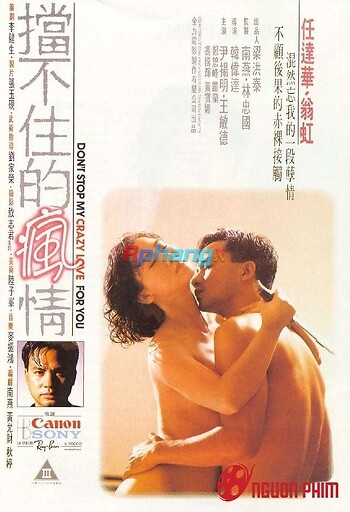 Don't Stop My Crazy Love for You 1993 = Cơn Gió Tình Không Ngăn Nổi 1993 0.jpg