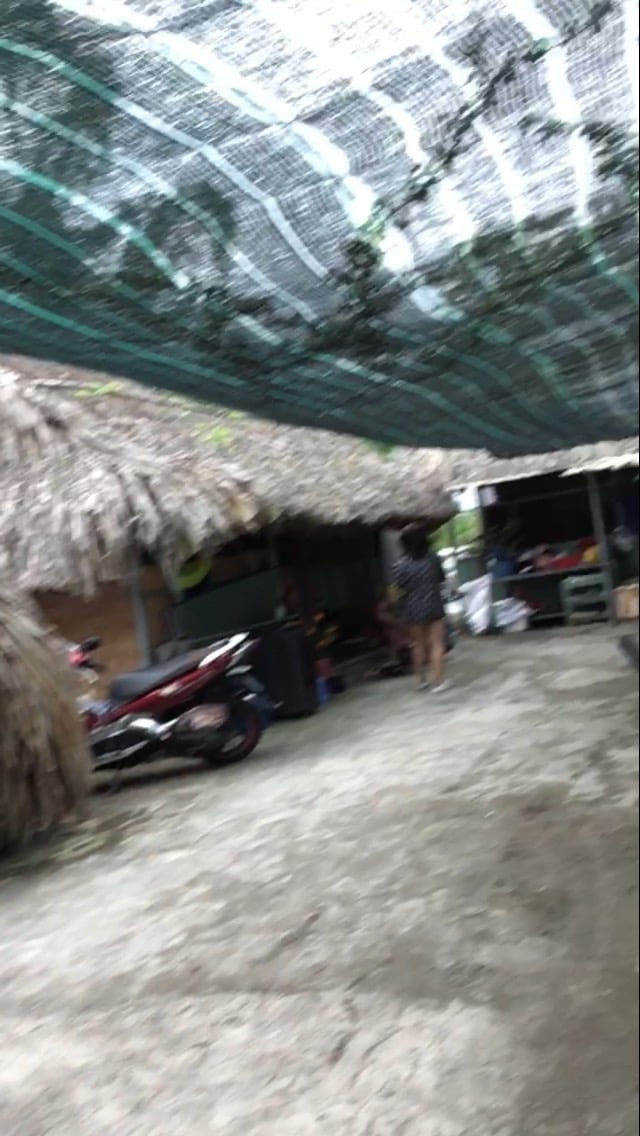 46C2431F-E741-4DAD-87D5-F0CEA267A2ED.jpeg