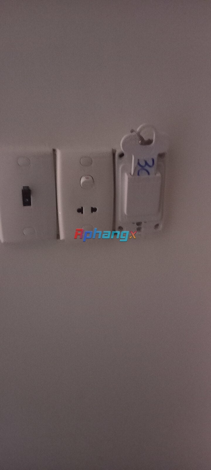 20230310_134123.jpg