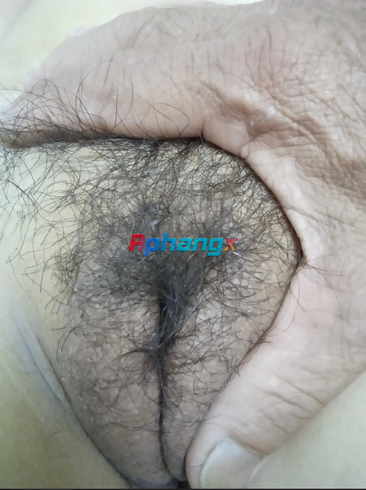 328FA763-5A1C-4A7E-A9FA-180C792015D4.jpeg