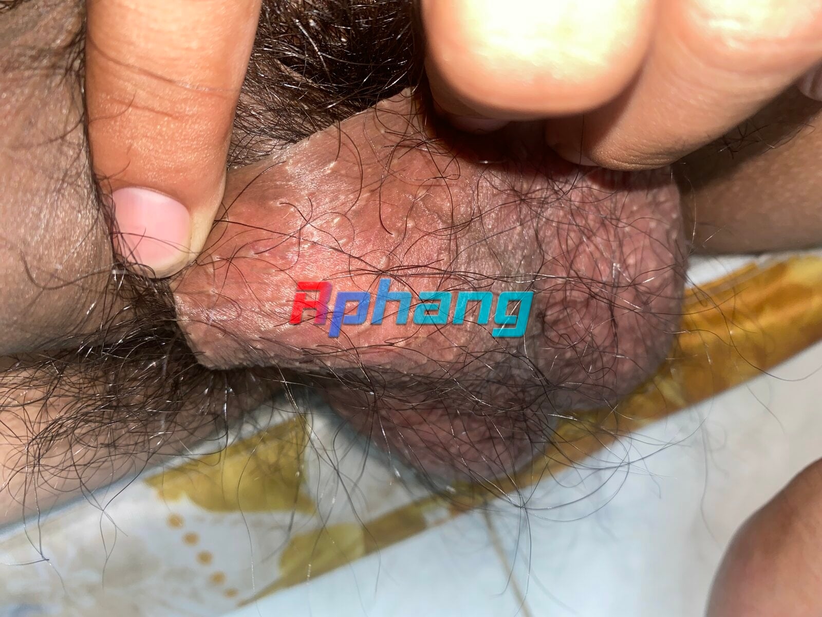 243CB22E-4F40-4B97-AC90-82F746F9B012.jpeg