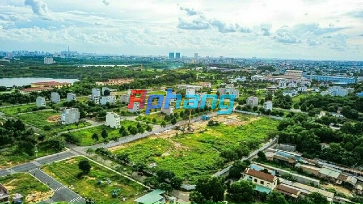 Skyline1009