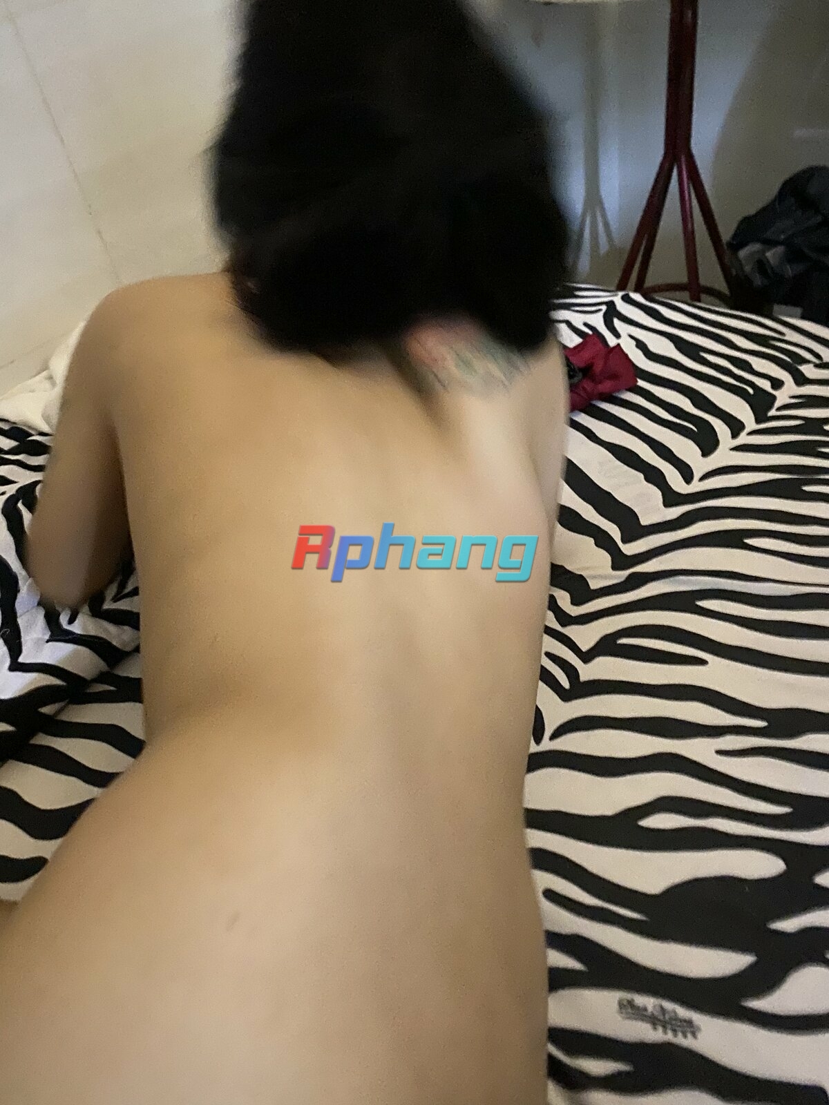 804127DB-3AD4-44BF-9C3A-AEA40419FAD4.jpeg