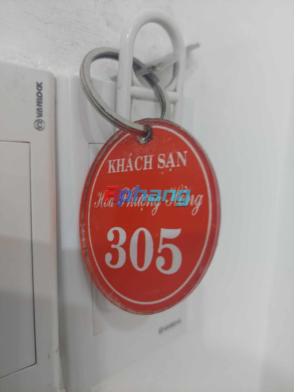 1691338810924.png
