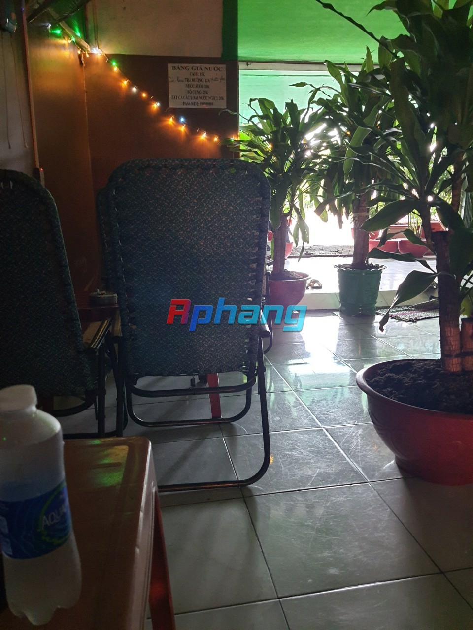 IMG_20230904_153954.jpg