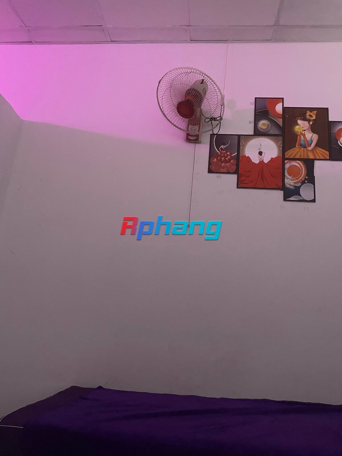 99187D38-5A73-4E4B-B9C4-EA89CA9A0AE0.jpeg