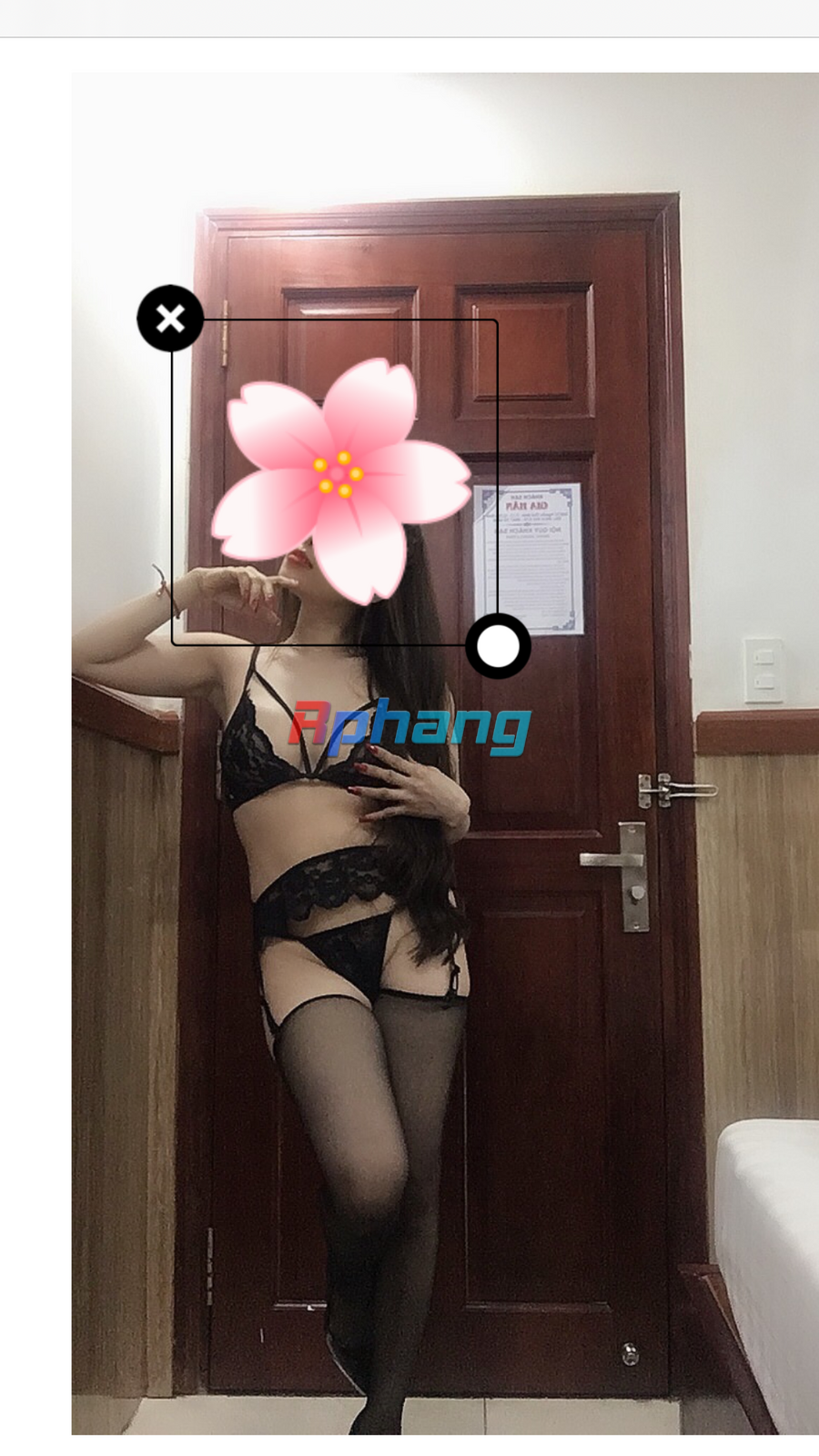 477C70FA-55DC-4C7E-85AD-6318284DD39B.png