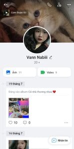 VALD4.jpg