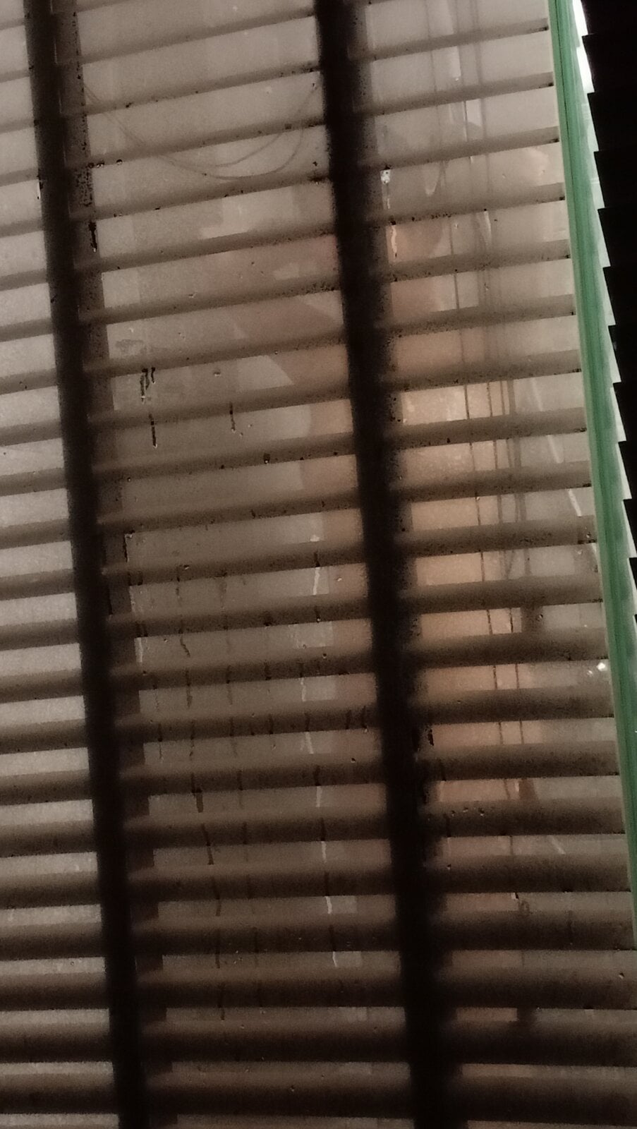 IMG20231229153212.jpg