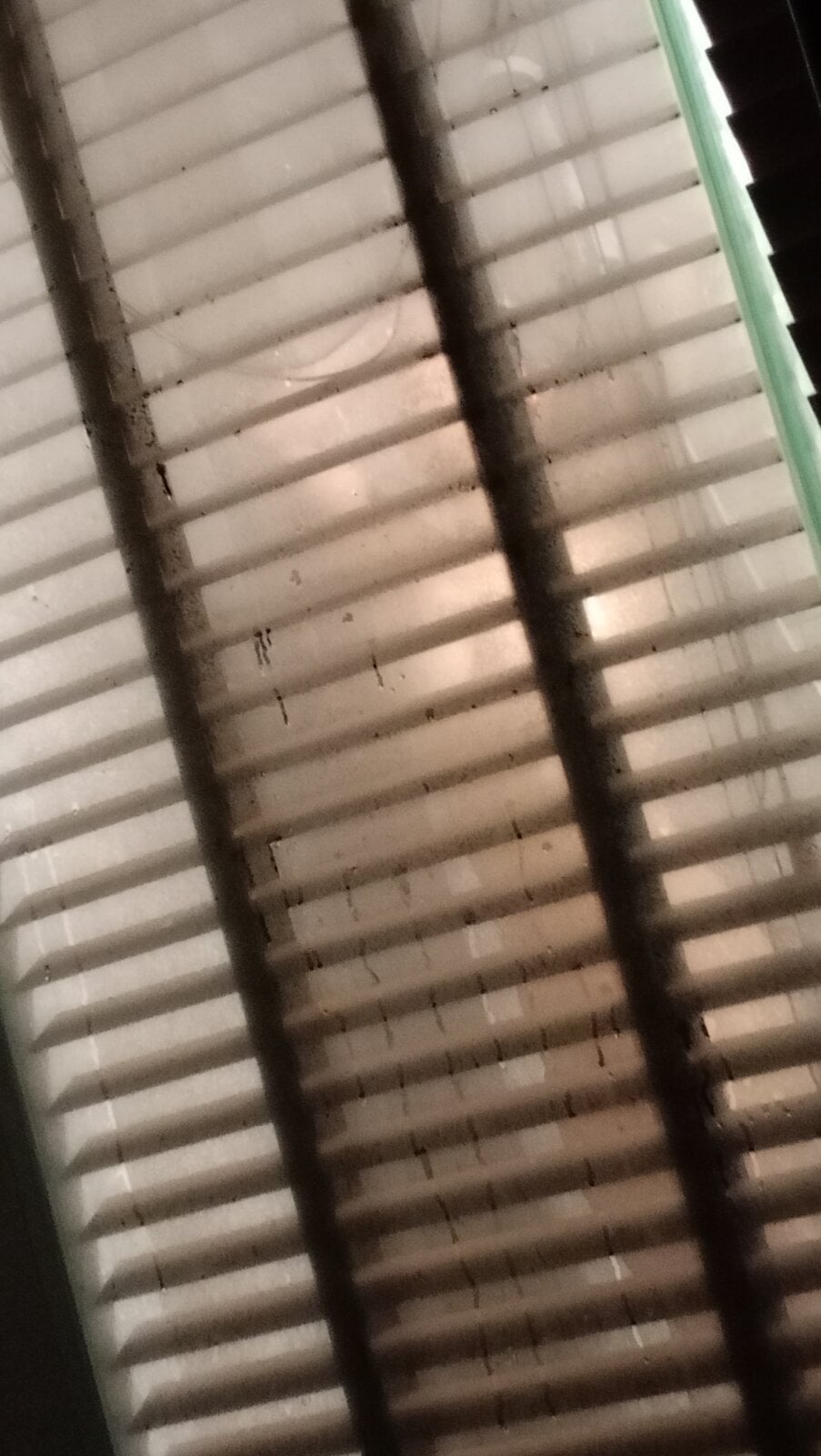 IMG20231229153207.jpg