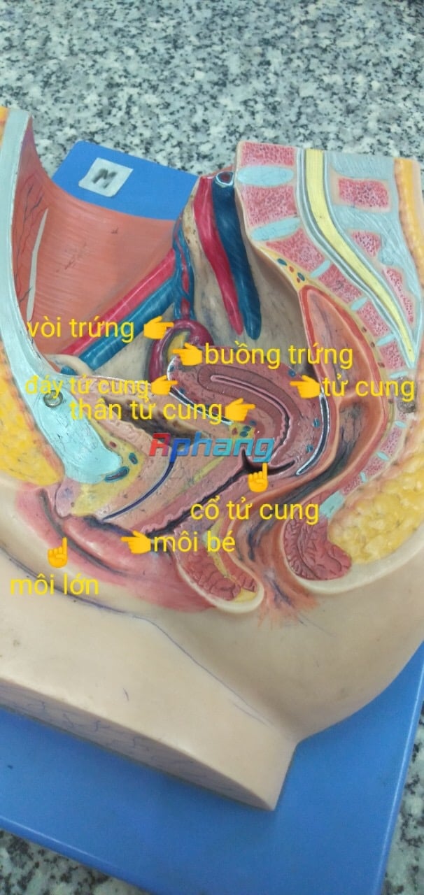 0343E870-5C35-46C3-9B8B-4196880BCE1B.jpeg