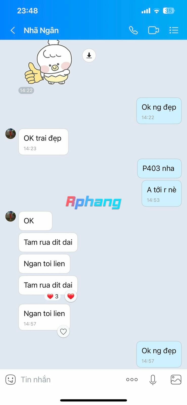 941b3810d3cb7f9526da.jpg