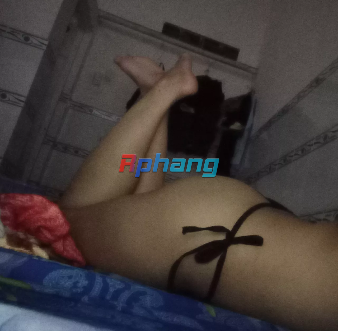 vn-11134103-7r98o-lr69ate1ie1l3a.png