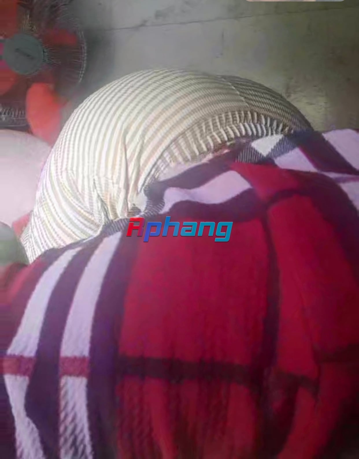 2E05254C-3515-47EA-A969-2CF8B7848284.jpeg