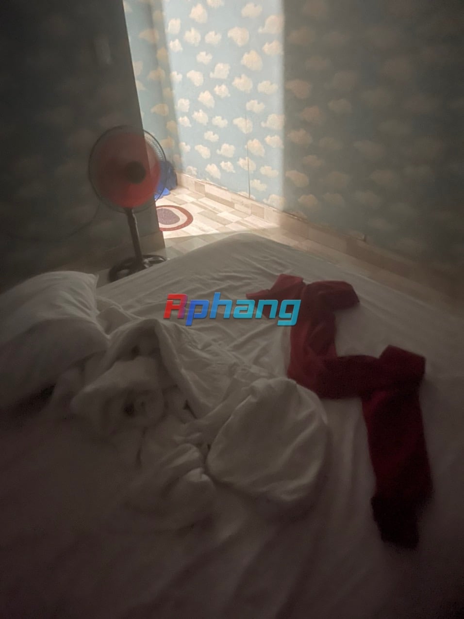 8355AE0C-7FAF-4FF5-9DE6-D8FF543D32B5.jpeg