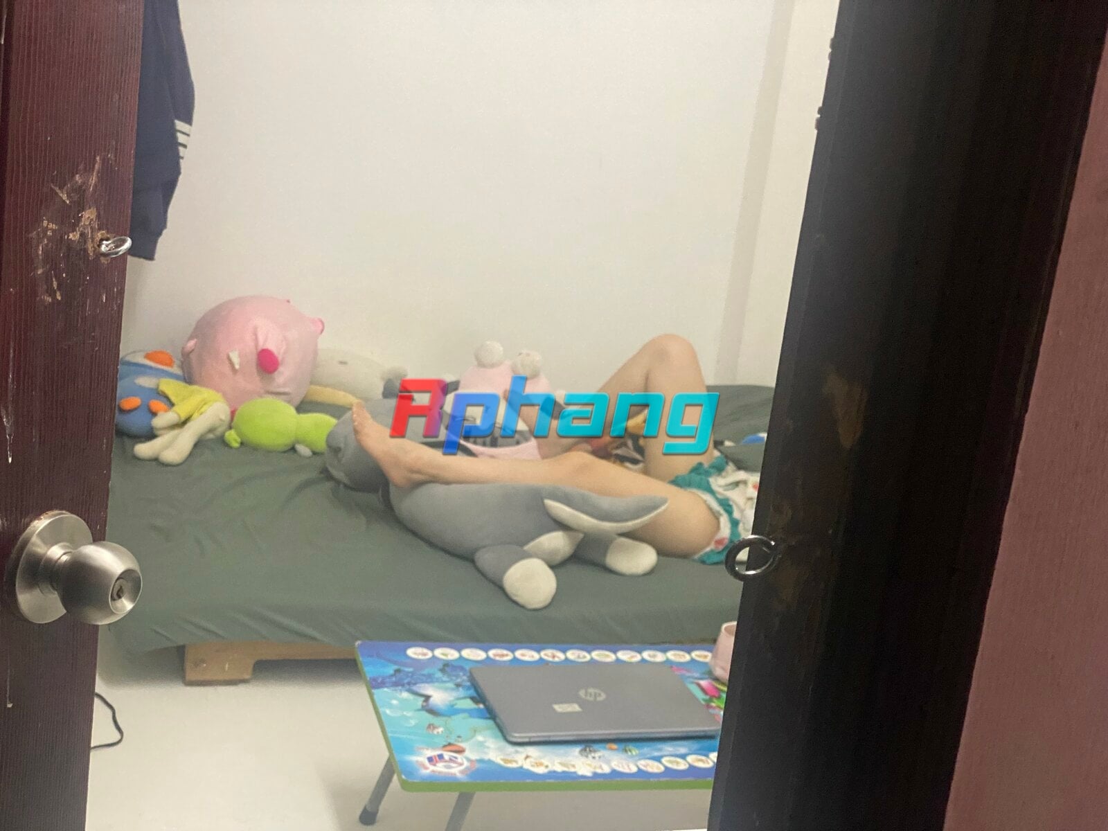 IMG_2284.jpeg