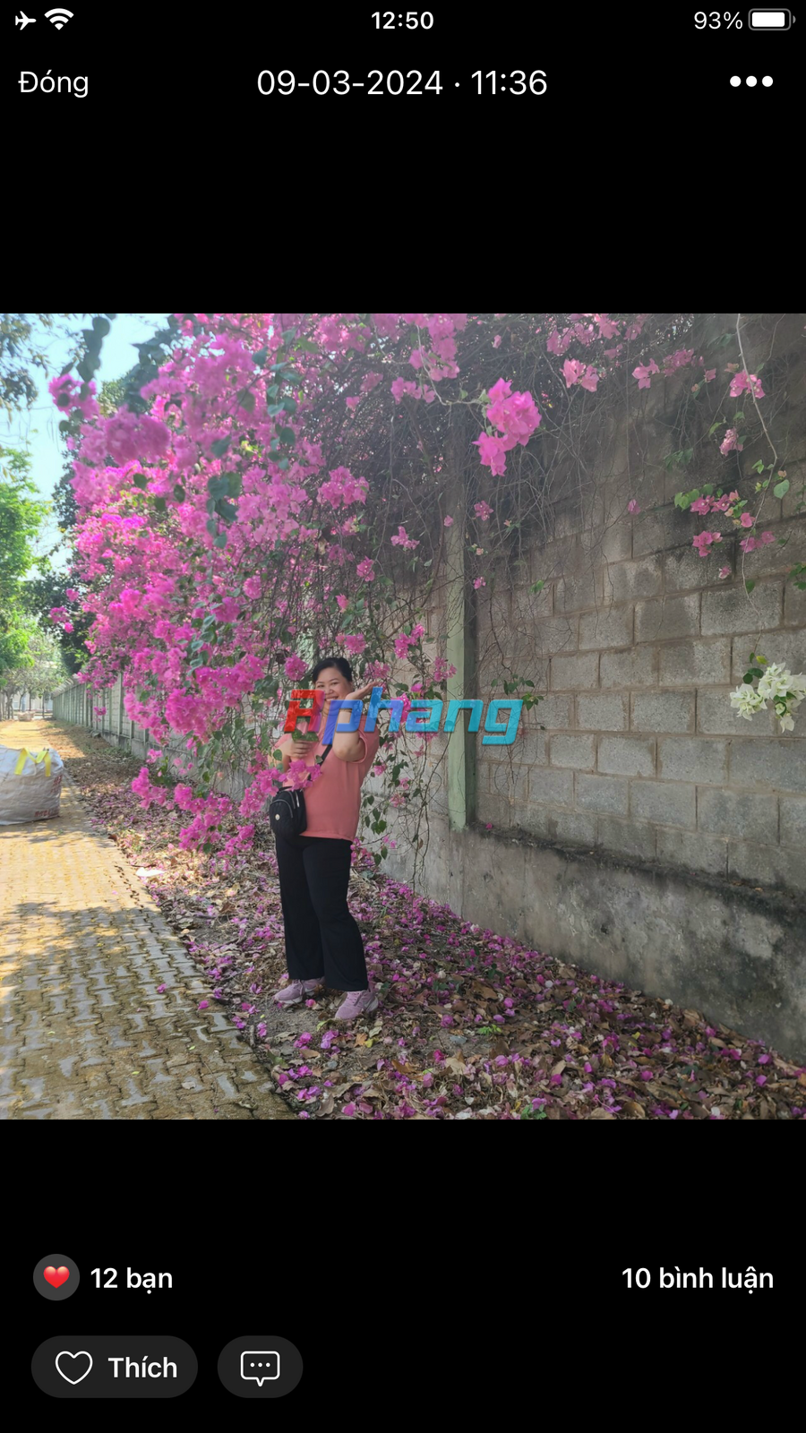 F486FAAA-827E-4A49-996F-713F40B77EB3.png