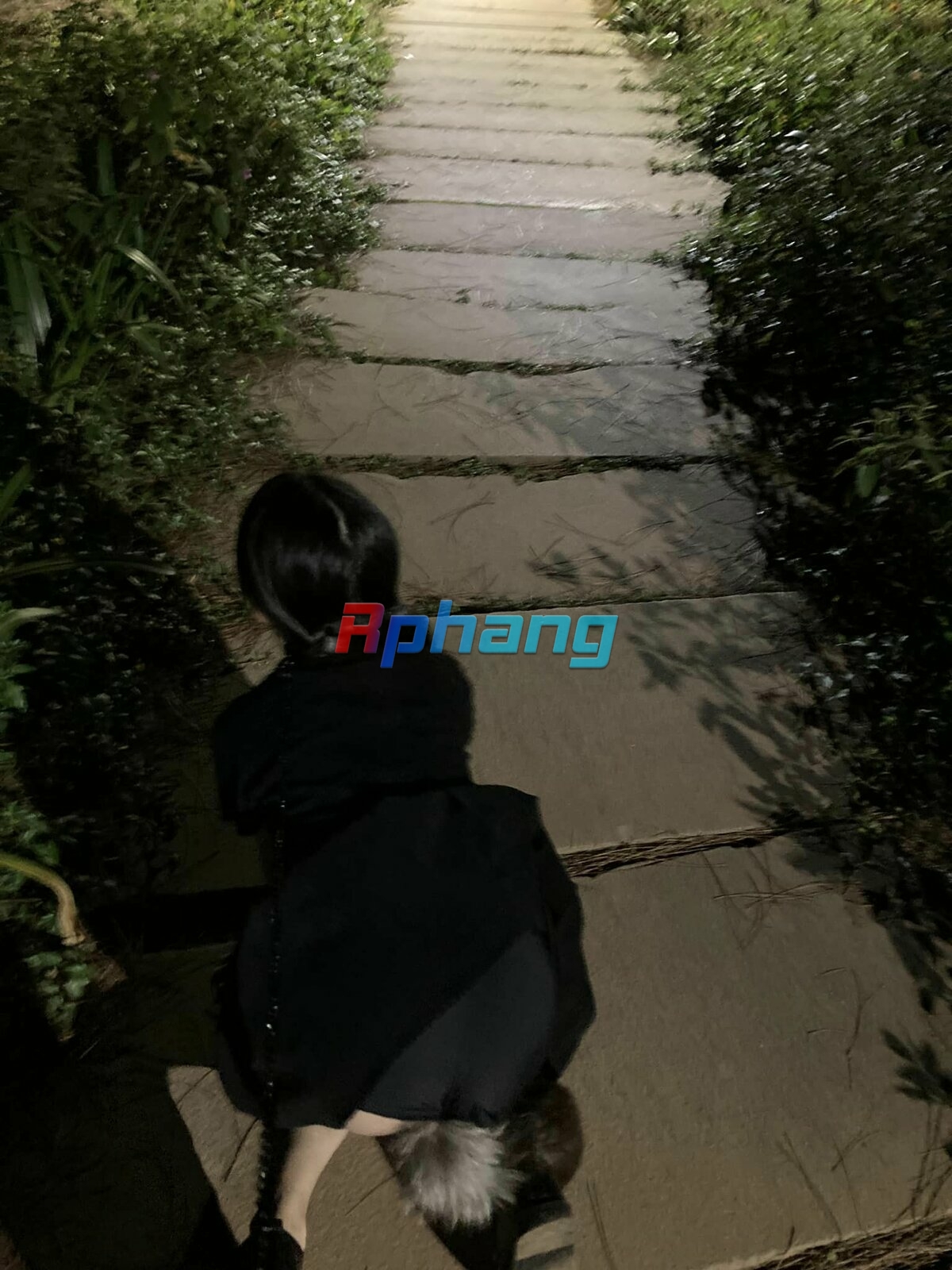 438173022_10225432162652694_7567727583889931886_n.jpg