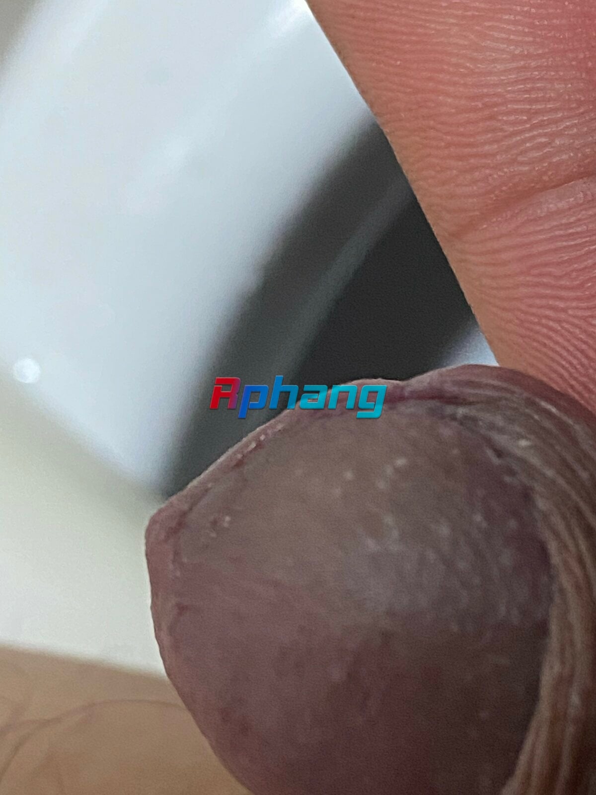 5A3E8698-AFAE-4497-8FDF-9BCB81710E54.jpeg