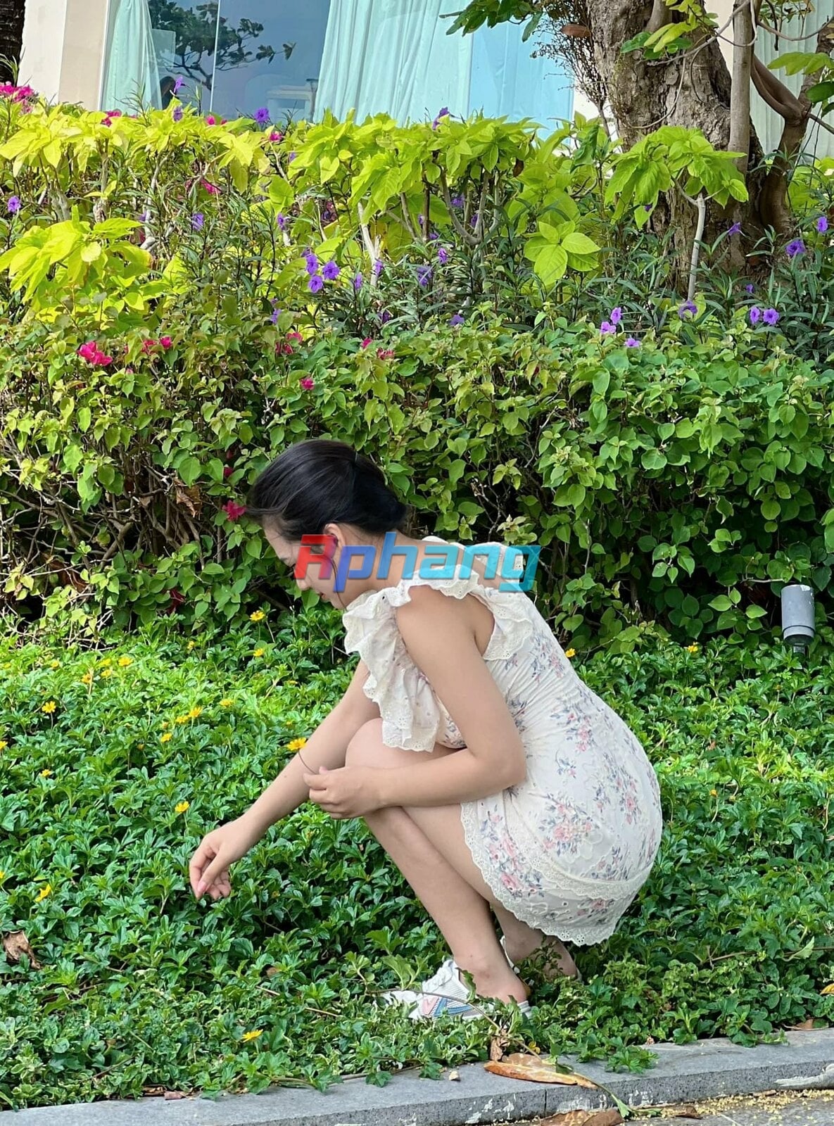IMG_0328.jpeg