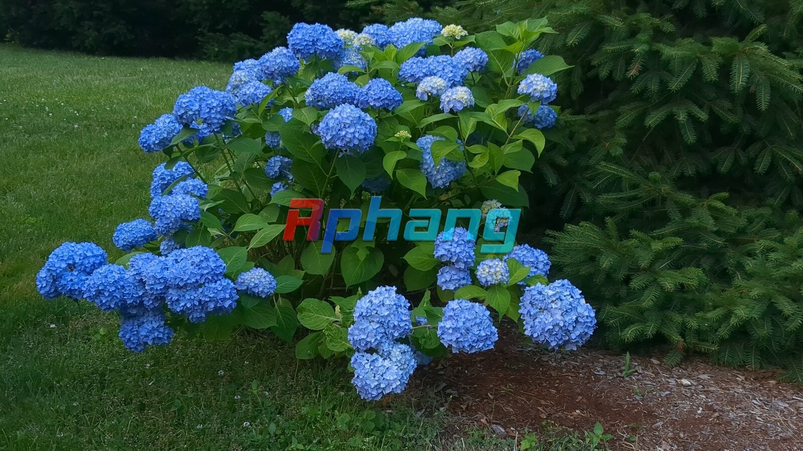 CamTuCau_IMG_20240624_193749.jpg